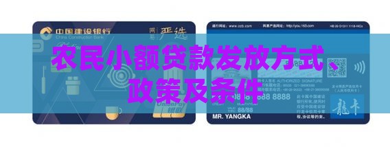 农民小额贷款发放方式