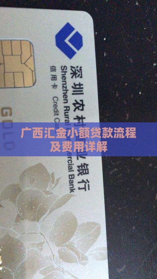 广西汇金小额贷款流程