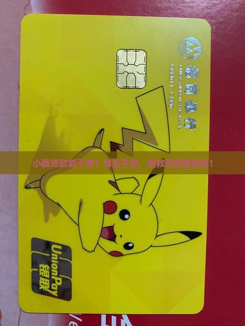 小额贷款可以用来做什么