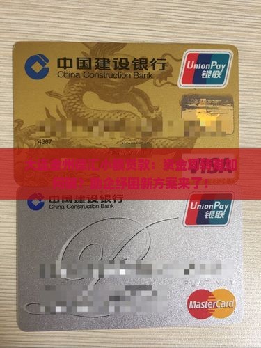 大连金州德汇小额贷款