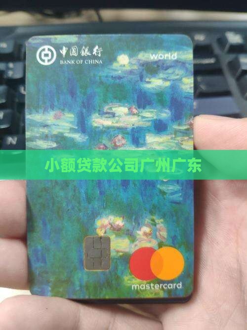 小额贷款中心广东