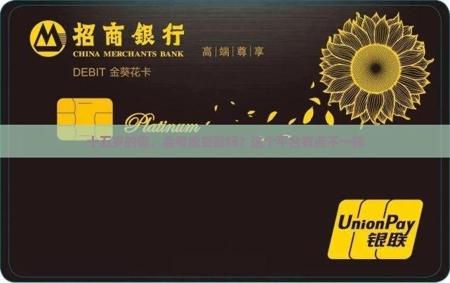 十五岁贷款平台怎么样