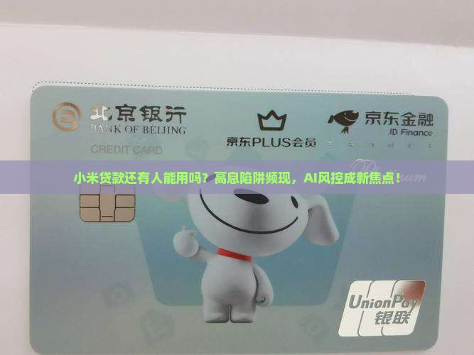小米贷款还有人能用吗