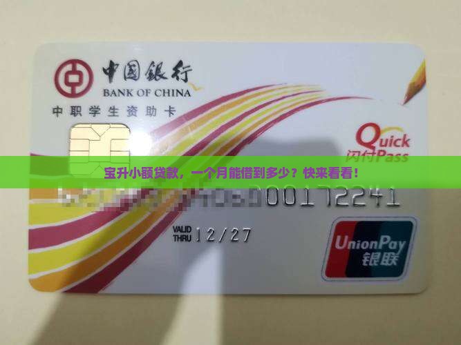 宝升小额贷款一个月