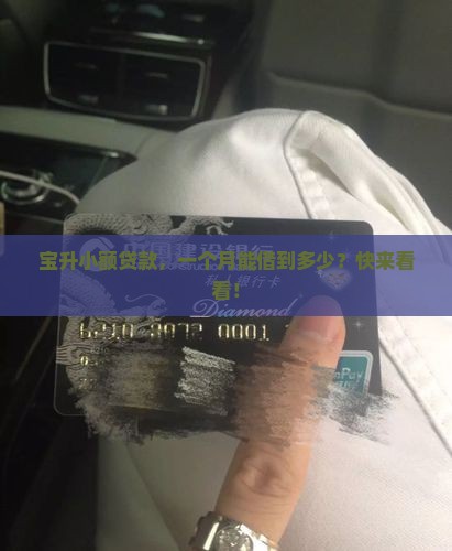 宝升小额贷款一个月