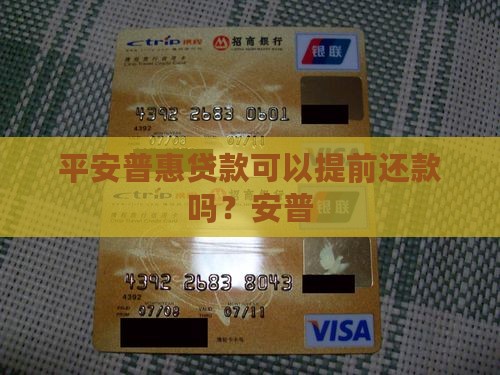 平安普惠贷款能提前吗