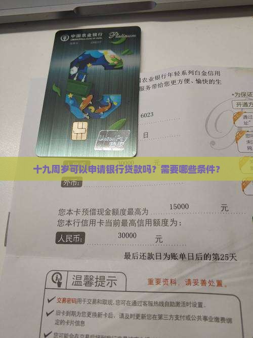 十九周岁银行贷款