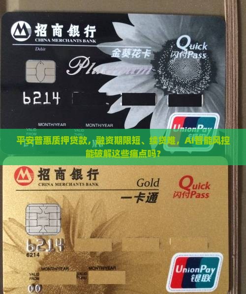平安普惠质押贷款