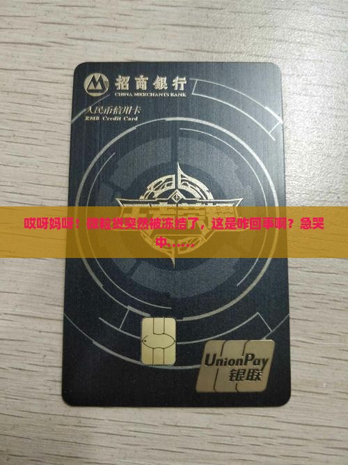 微粒贷软件贷款被冻结