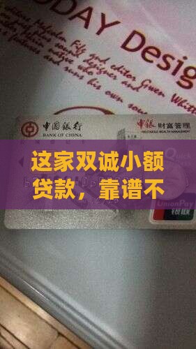 双诚小额贷款怎么样啊