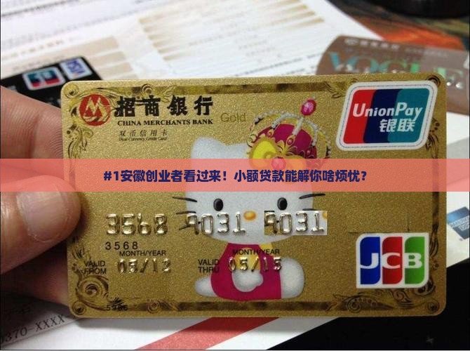 安徽省小额贷款创业