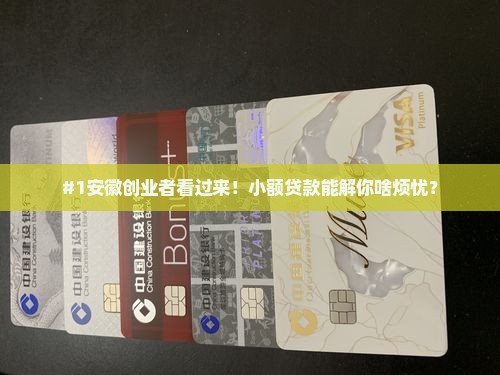 安徽省小额贷款创业