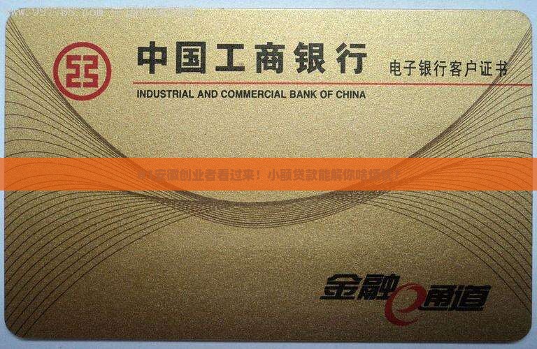 安徽省小额贷款创业