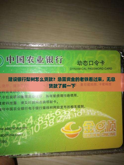 建设银行梨树怎么贷款