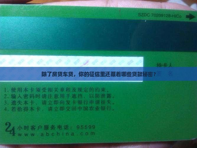 征信其他类型贷款有哪些