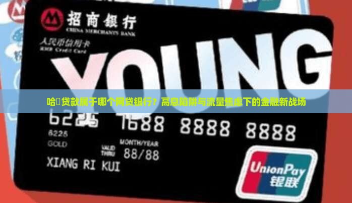 哈啰贷款属于哪个网贷银行