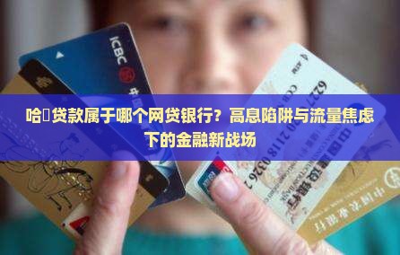 哈啰贷款属于哪个网贷银行