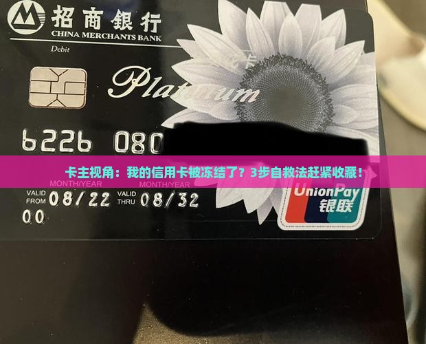 冻结信用卡贷款