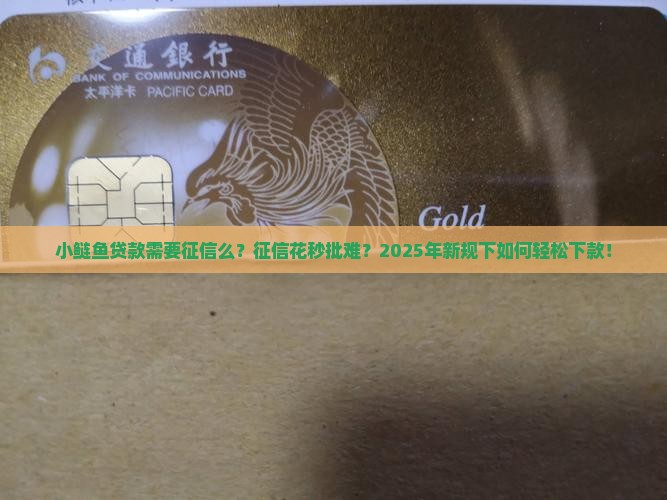 小鲢鱼贷款需要征信么