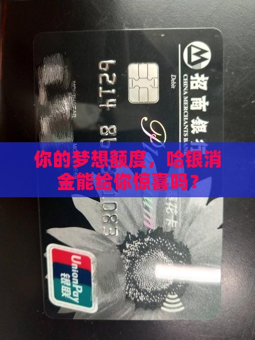 哈银消金贷款额度