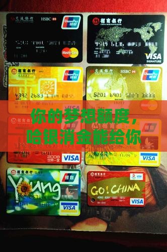 哈银消金贷款额度