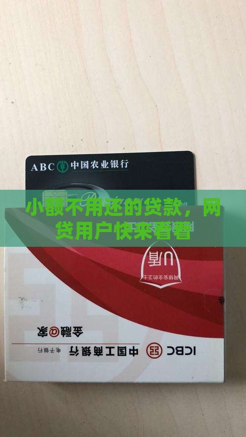 小额贷款现在要还款吗