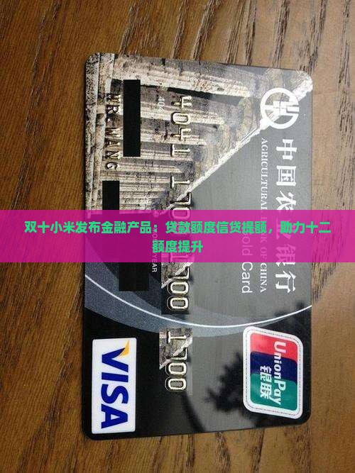 双十二小米贷款提额度