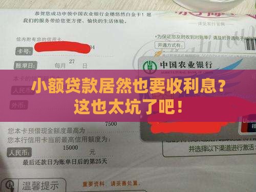 小额贷款可需要利息吗