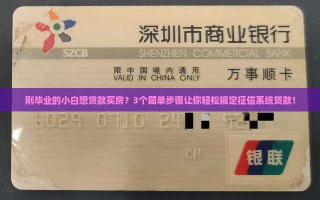 如何做征信系统贷款