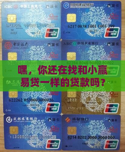 和小赢易贷一样的贷款