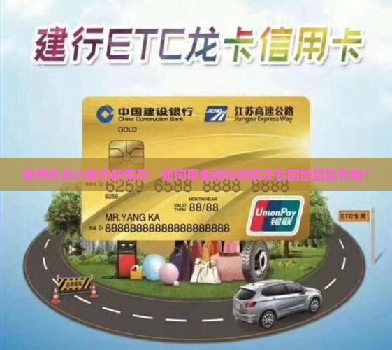 常州扶贫小额贷款情况