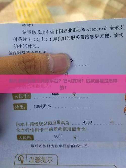 哪吒急救是哪个贷款平台