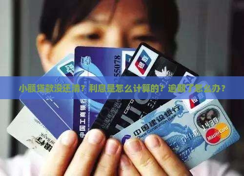 小额贷款没还怎么算利息