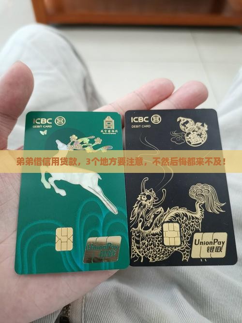 弟弟借信用贷款