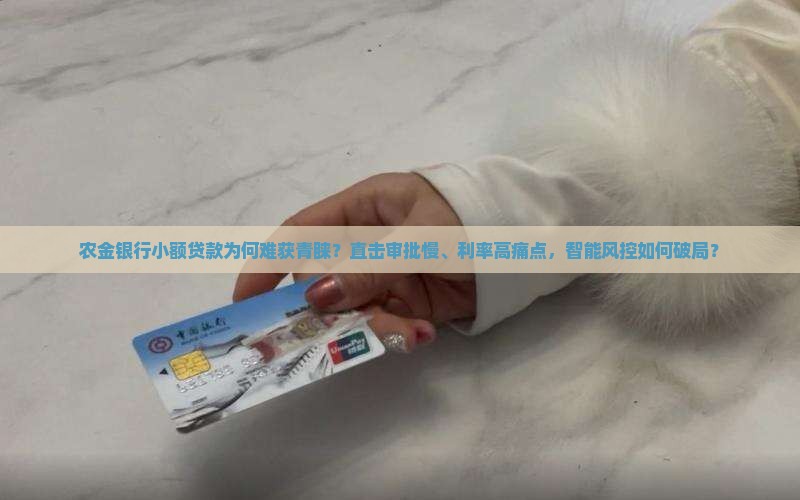 农金银行小额贷款