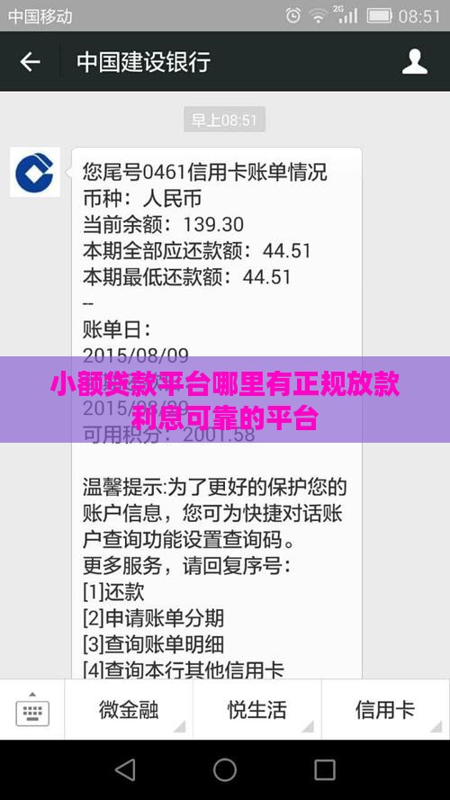 小额贷款平台哪里有