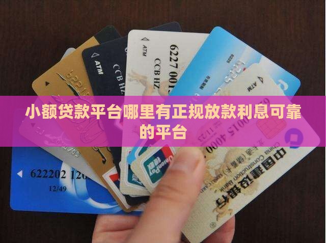 小额贷款平台哪里有