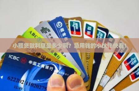 小额贷款多少利息