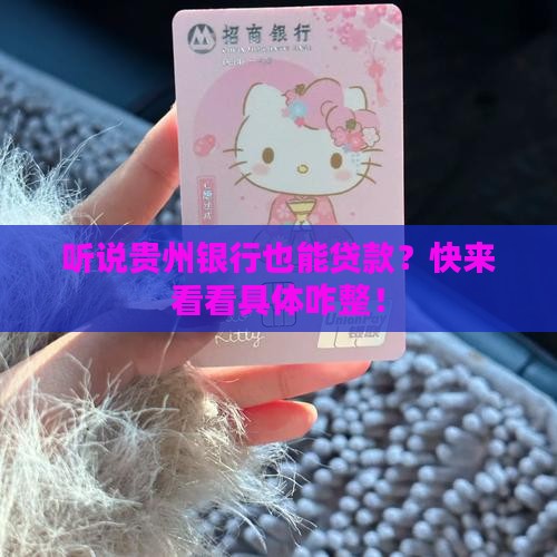 哪里贷款支持贵州银行 哪里贷款支持贵州银行