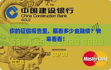 征信看欠金融贷款