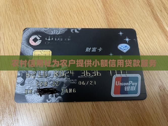 农民信用社向借小额贷款