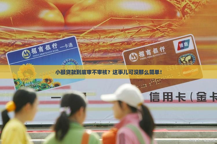 小额贷款有没有审核