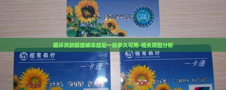 循环贷款额度被冻结 循环贷款额度被冻结