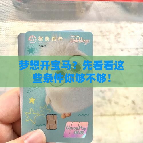 宝马信用贷款要求