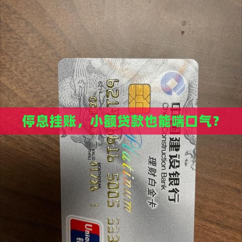 小额贷款里挂账停息