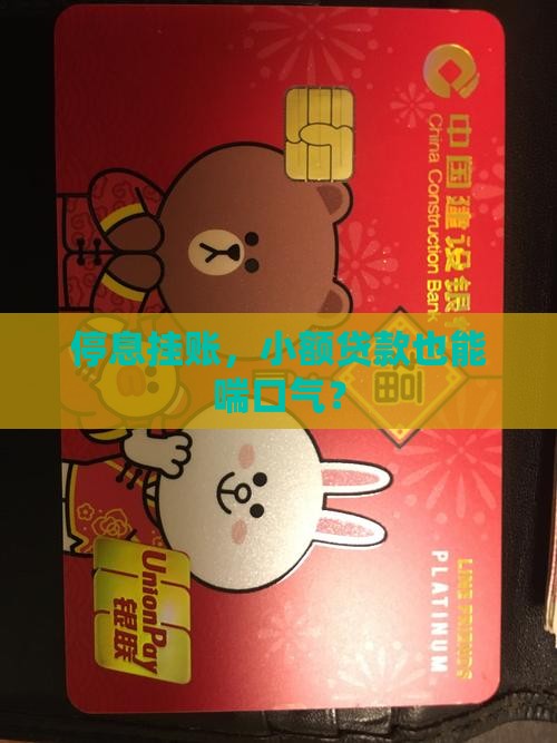 小额贷款里挂账停息