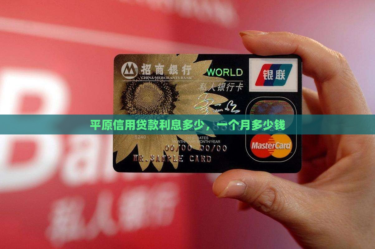 平原信用贷款利息多少