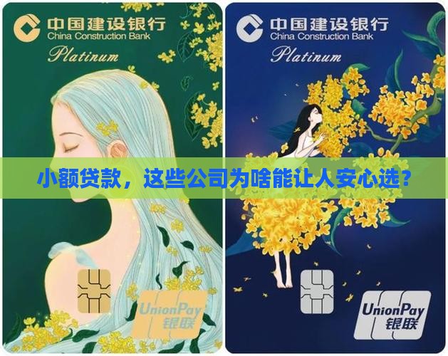 小额贷款必过的公司