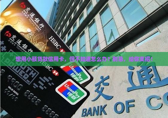 小额贷款信用卡怎么办
