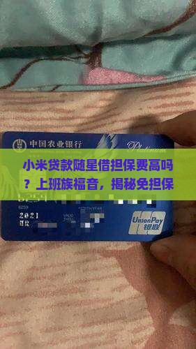 小米贷款随星借担保费